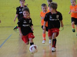 mini-IMG_6919